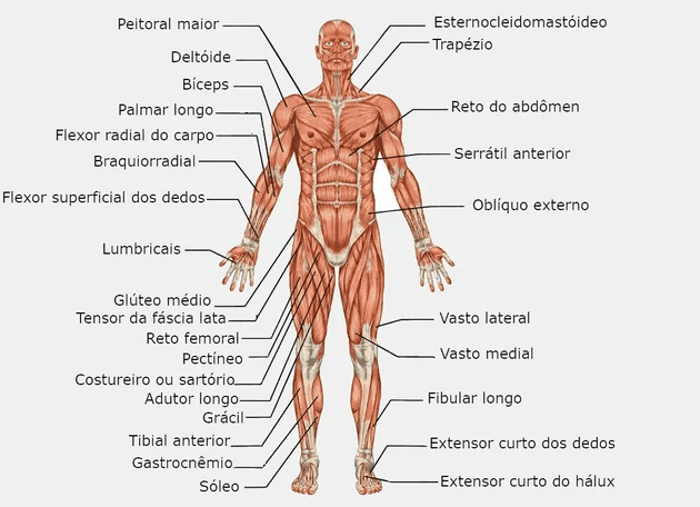 Rehabilitación después de lesiones